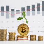 Crypto Investment