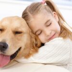 Pet Insurance