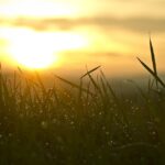 Unlocking Growth: How Small Businesses Are Thriving in Today’s Economy