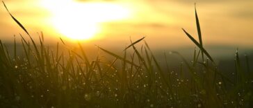 Unlocking Growth: How Small Businesses Are Thriving in Today’s Economy