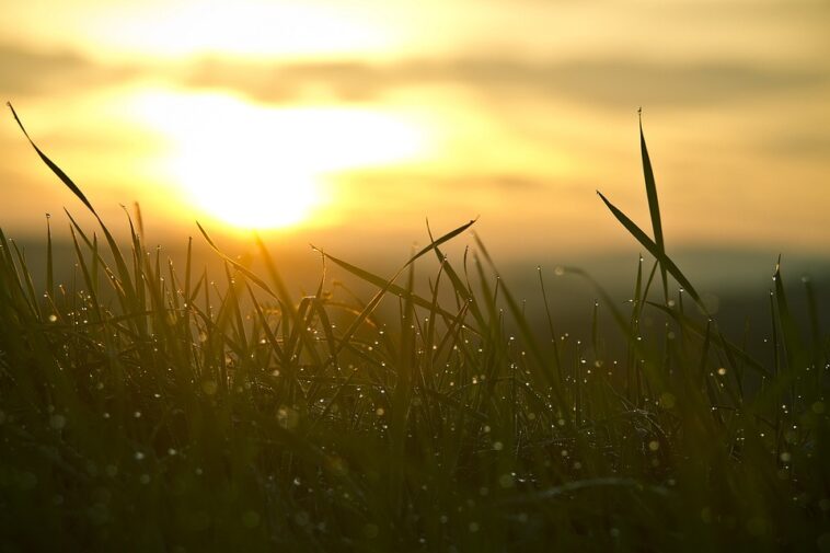 Unlocking Growth: How Small Businesses Are Thriving in Today’s Economy