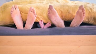 Unlock Financial Freedom: Top Personal Loan Trends You Need to Know Now